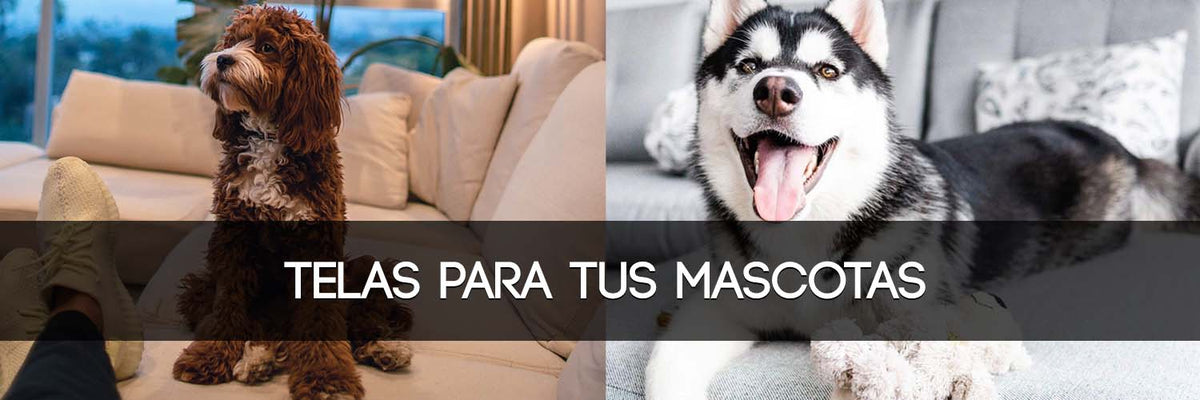 Vol. 105 TELAS IDEALES PARA TUS MASCOTAS 🐶