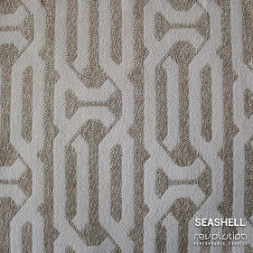 POMPEII SEASHELL